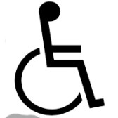 rolstoel copy