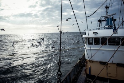 Pulsvisserij-5811.jpg