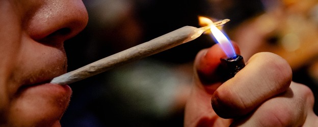 Softdrugs wiet coffeeshop.jpg